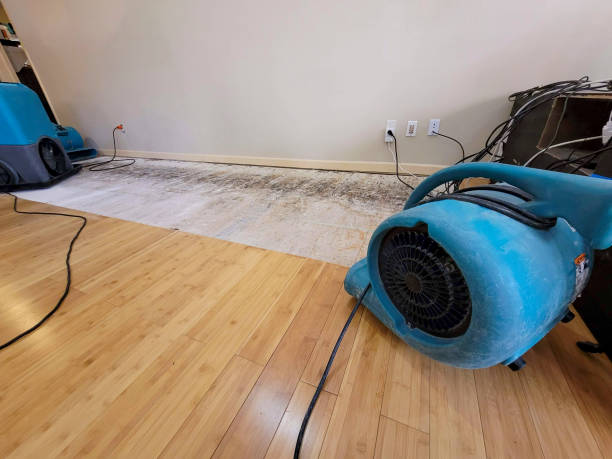 Professional Basement Flood Cleanup technician working in Normandy, TN